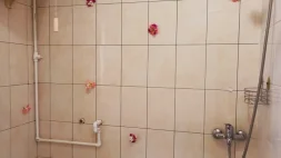 Оздоровительный SPA комплекс АкваРай в тропиках изображение 5